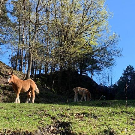 Appartement A Ordino Zewnętrze zdjęcie